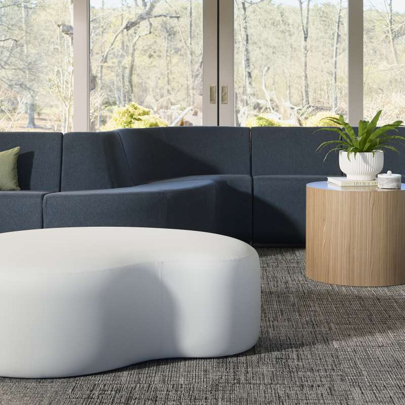 Noé, Elara, and X&O