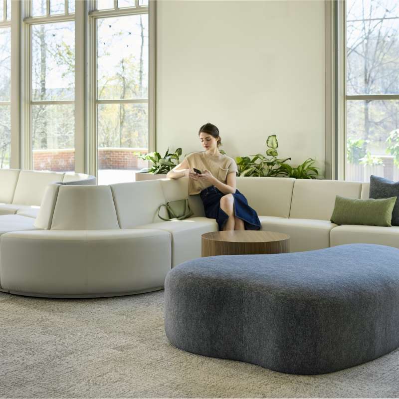 Elara, Noé, and X&O