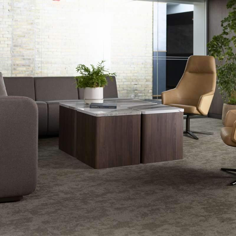 Elara, X&O, and Kasura