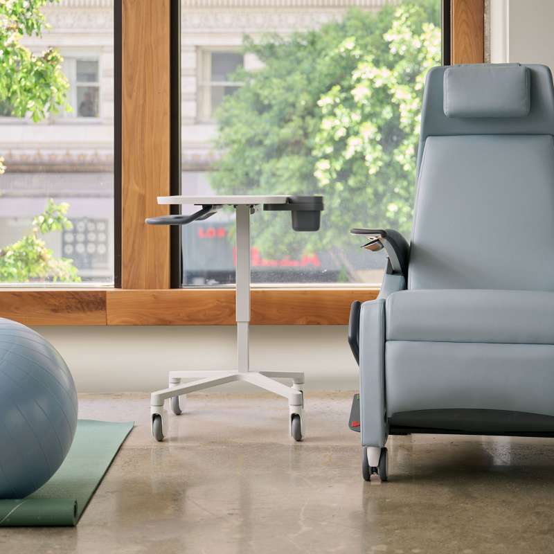 Lasata ortho and Stray