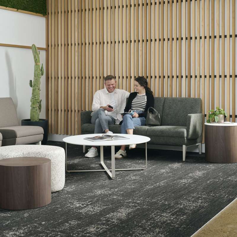 Prologue, Noé, Basket, ...