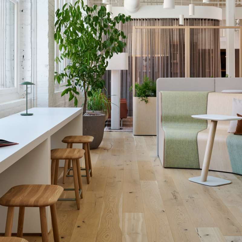 Gathr, Rory, Cate, Heya, Hydra, ...