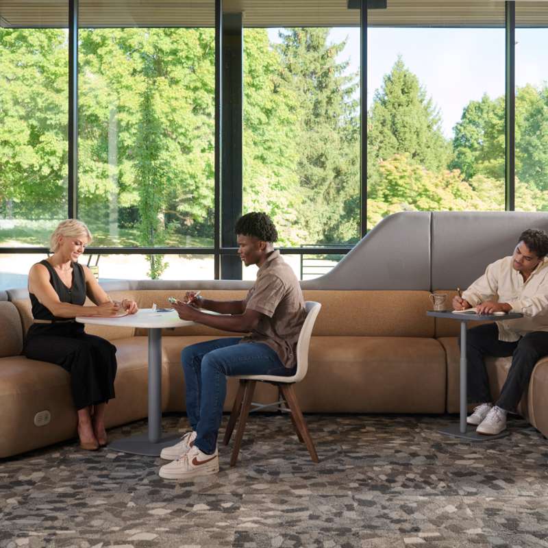 Obee, Tobee, and Harpin