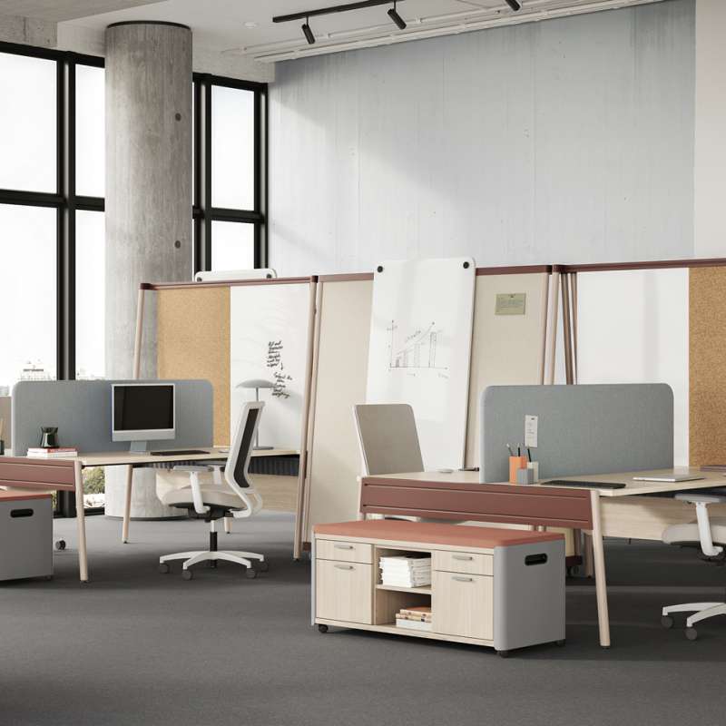 Kaleid, Genus, and Ezel