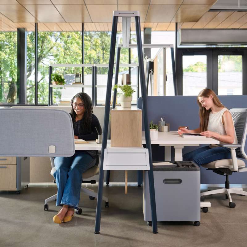 Kaleid, Genus, and Riggs