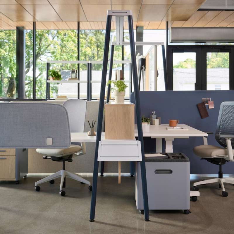 Kaleid, Genus, and Riggs