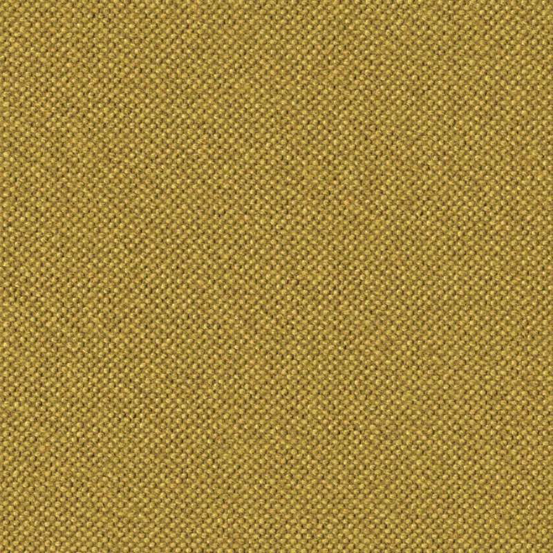Woolish Canary
