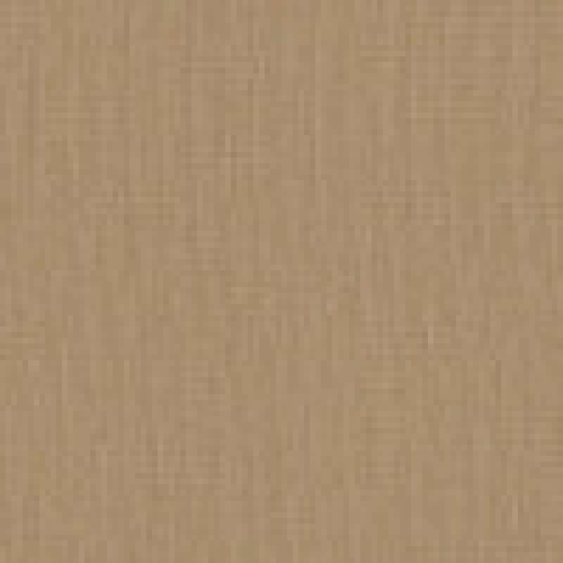 Birdseye Camel