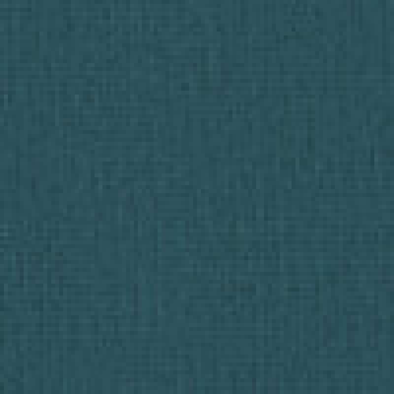 Birdseye Blue Coral