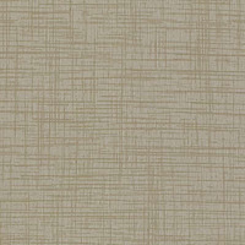 Terra Alabaster
