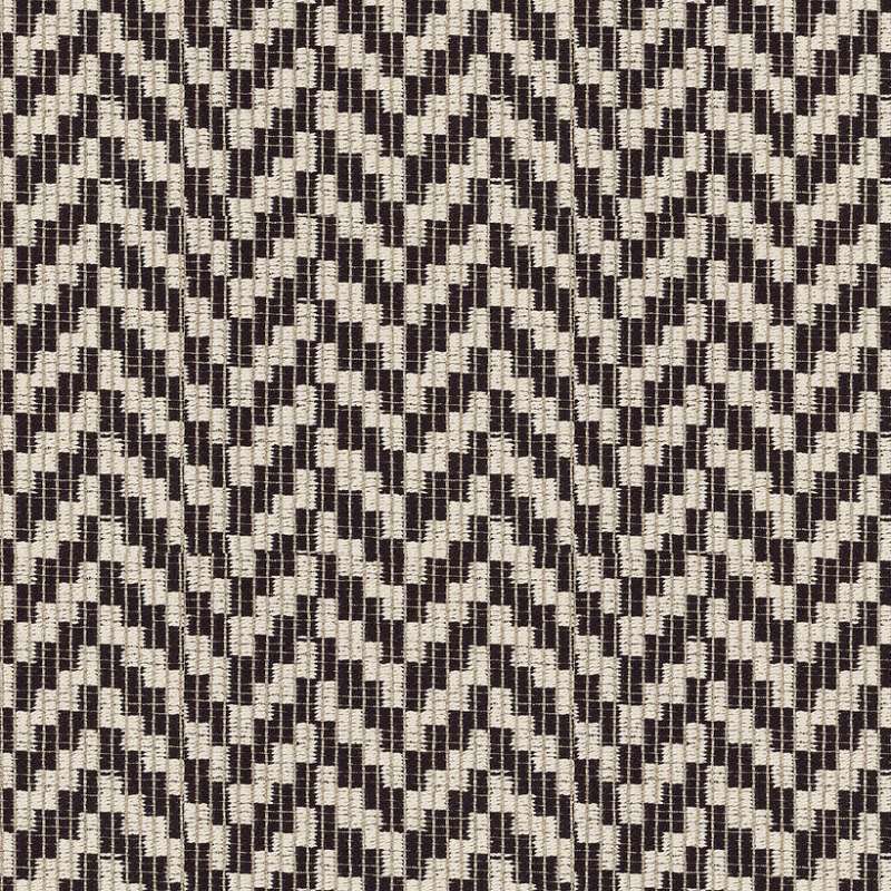Patagonia Zebra