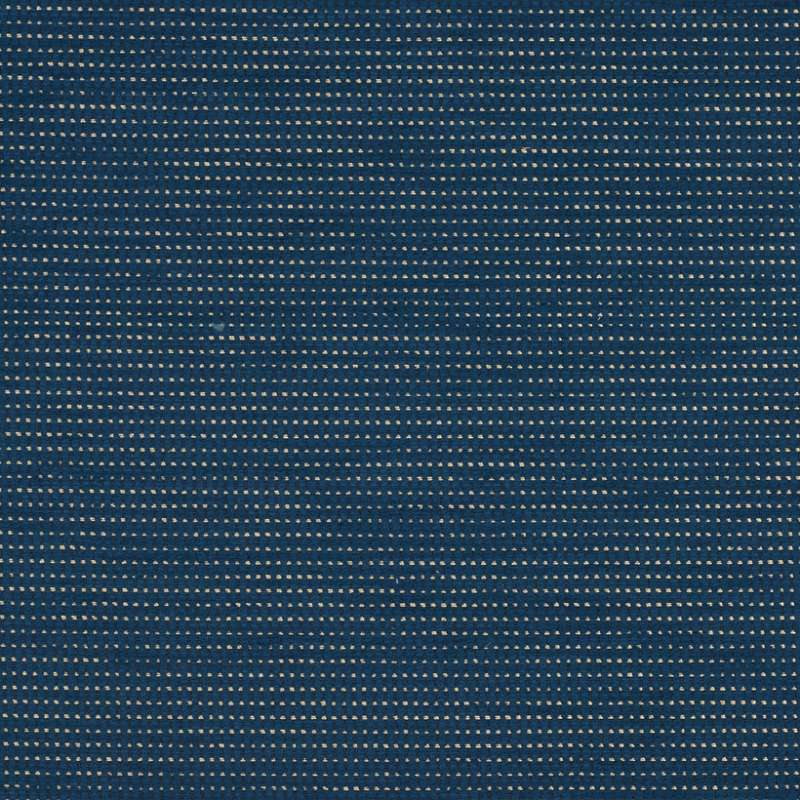 Asha Navy