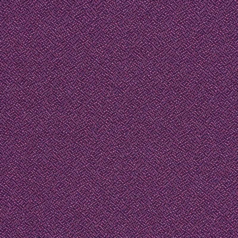 Forte Grape