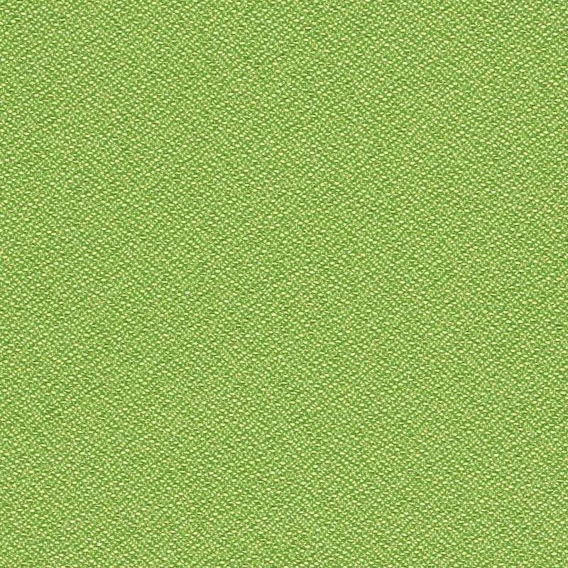 Forte Grass