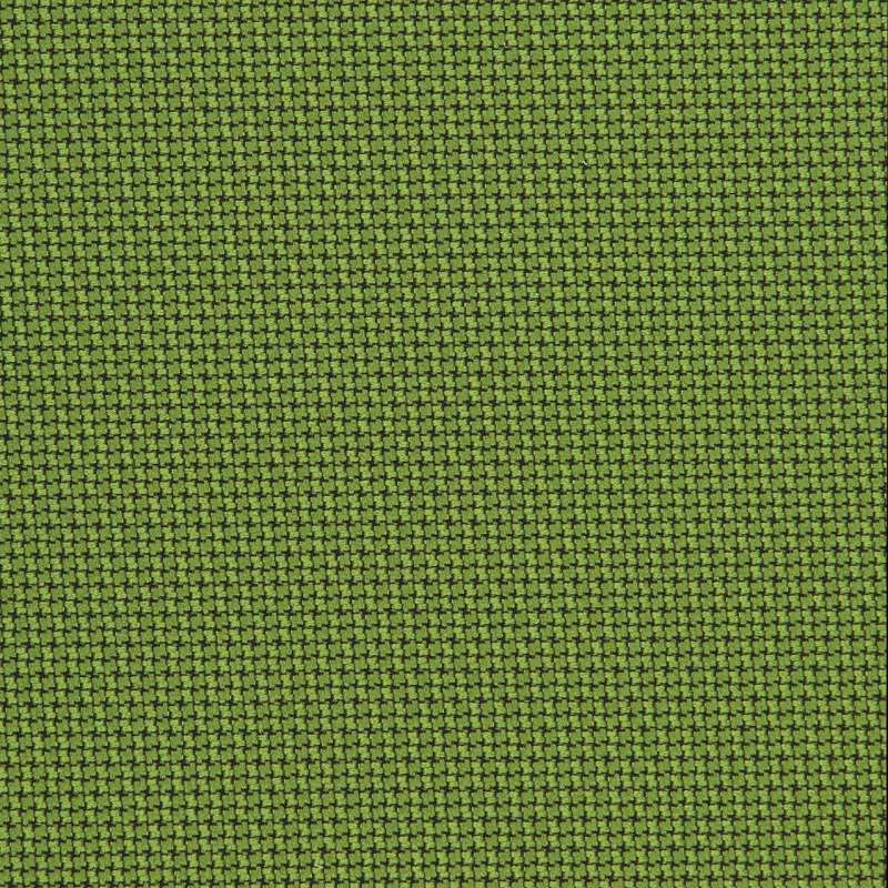 Cross Check Evergreen