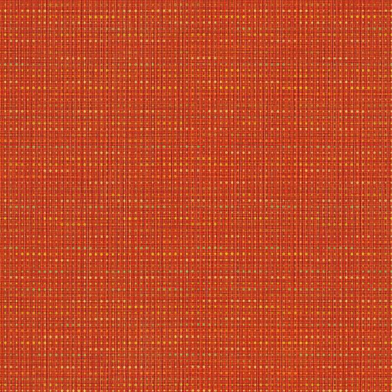 Particle Persimmon