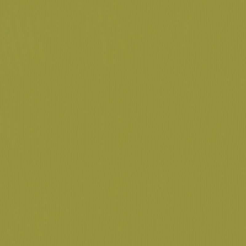 Silicone Level Kiwi