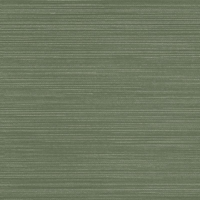 Wanderer Matcha