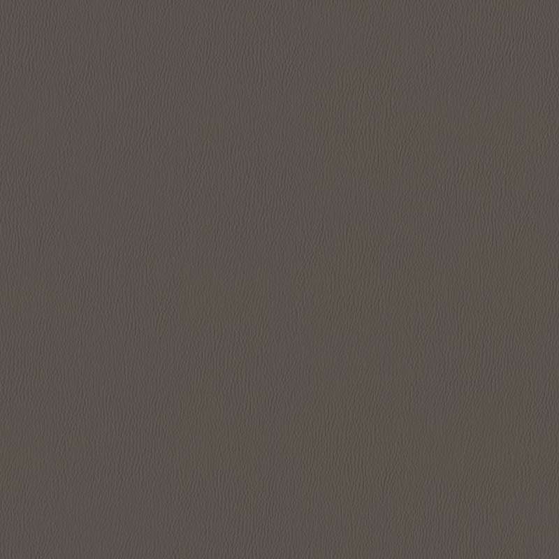 Silicone Range Hawk