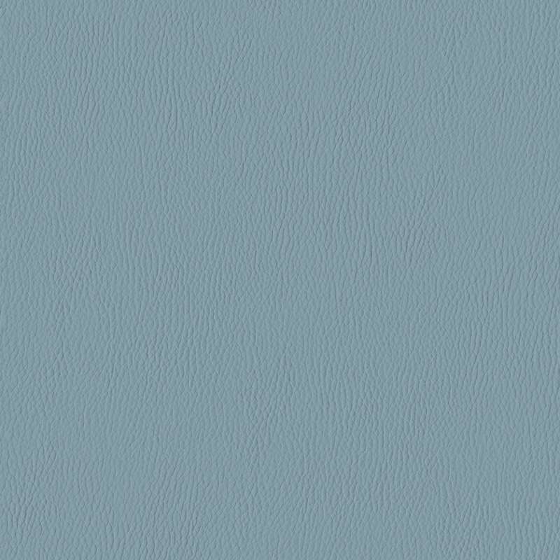Silicone Range Dolphin