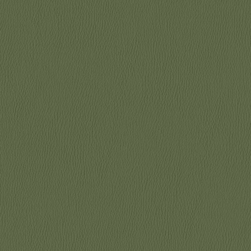 Silicone Range Fennel