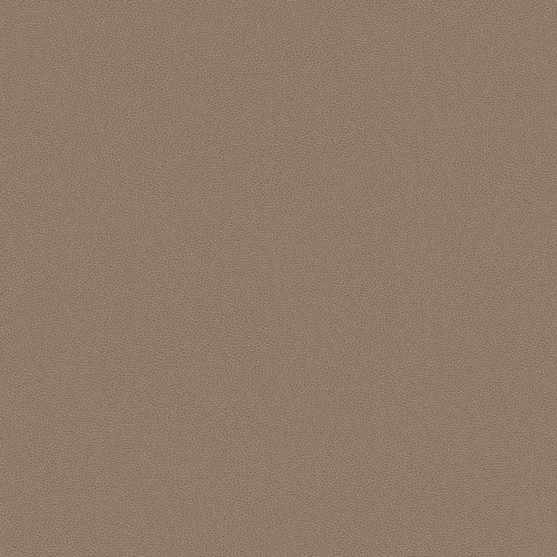 Silicone Nappa Shiitake