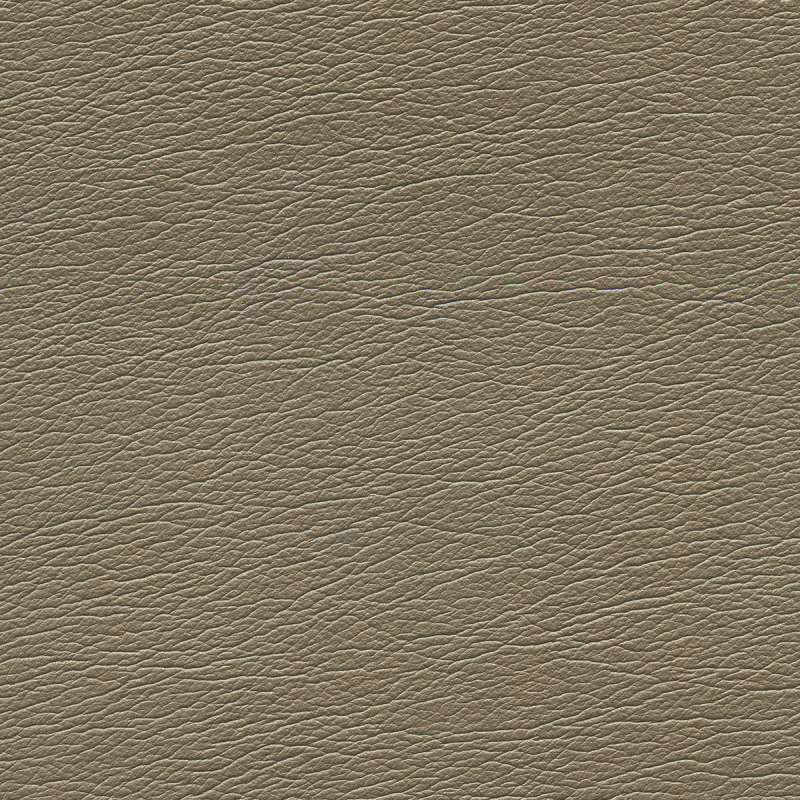 Pearlized Mica