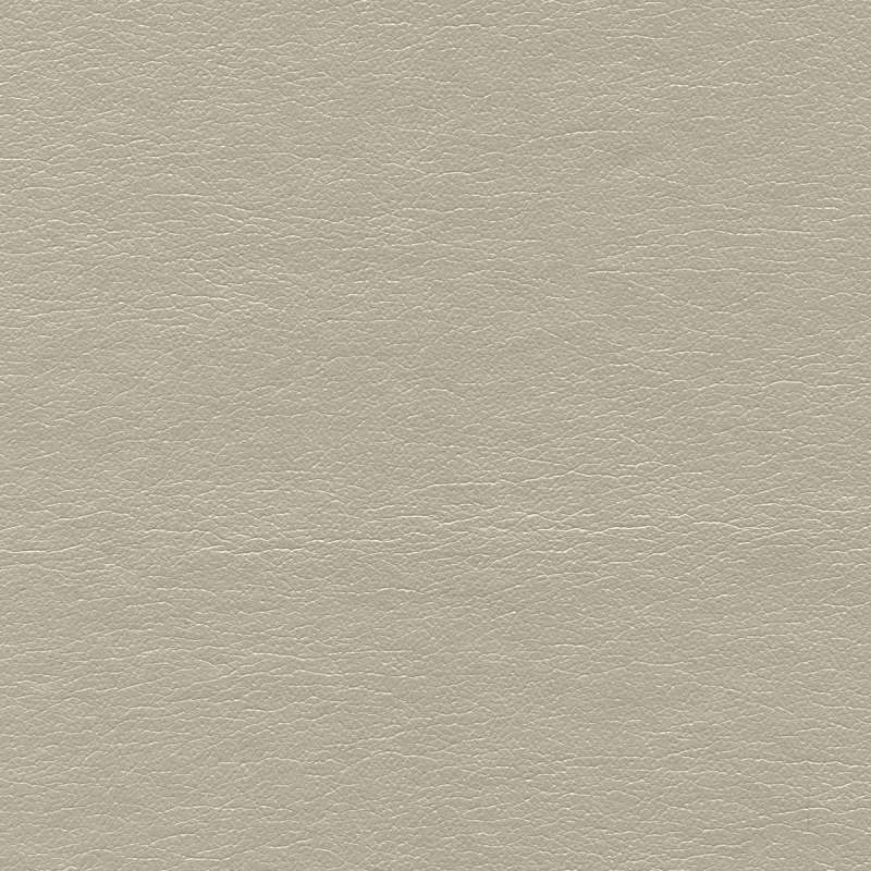 Pearlized Pure Silver