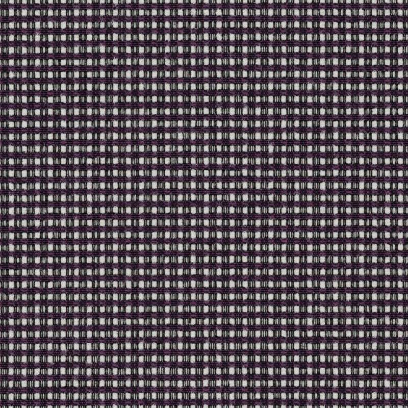 Mira Grape