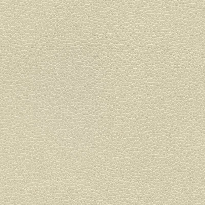 Promessa Parchment