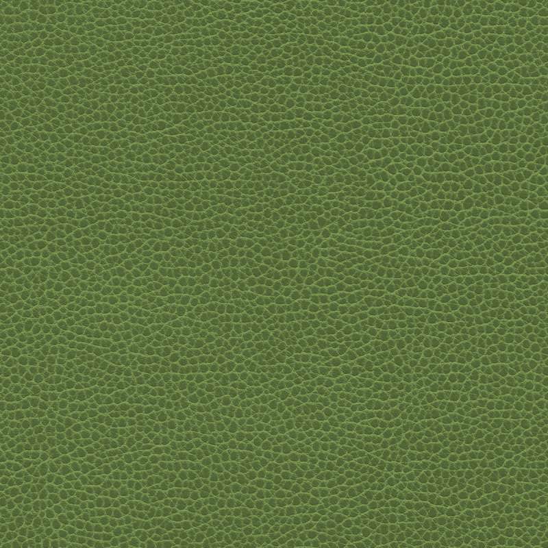Promessa Olive Moss