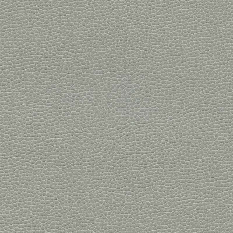 Promessa Ash