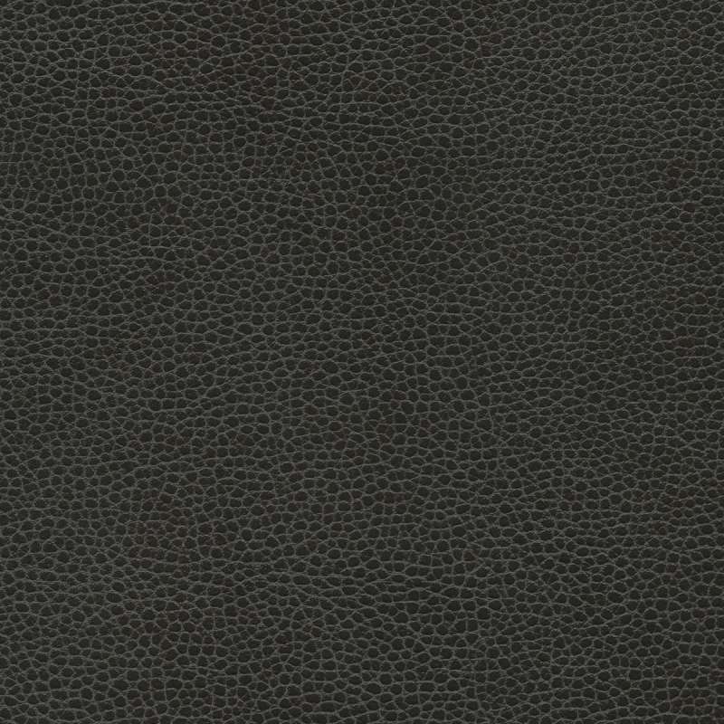 Promessa Ebony
