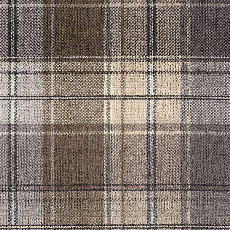 Plaid Sparrow