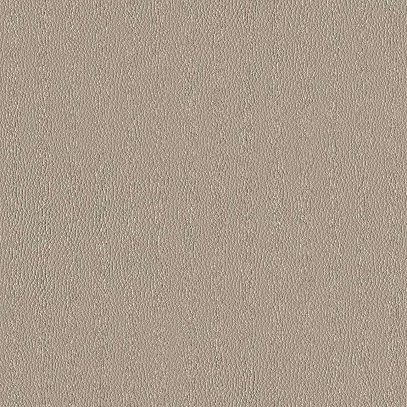 Silicone Element Fossil