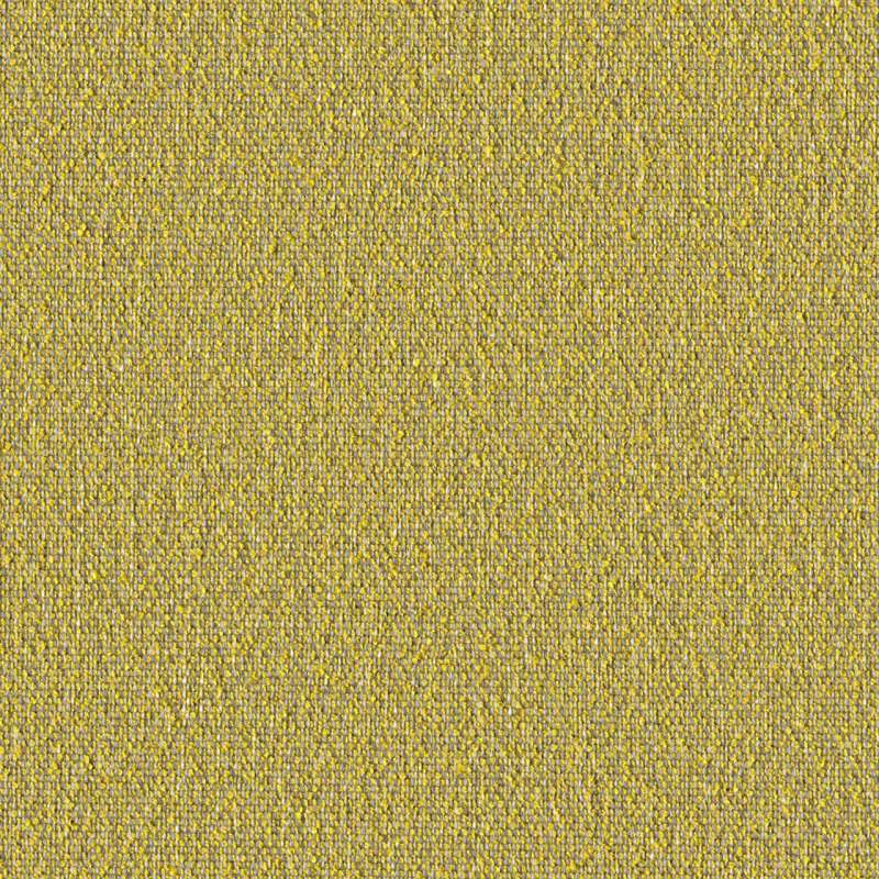 Tiny Boucle Sunbeam