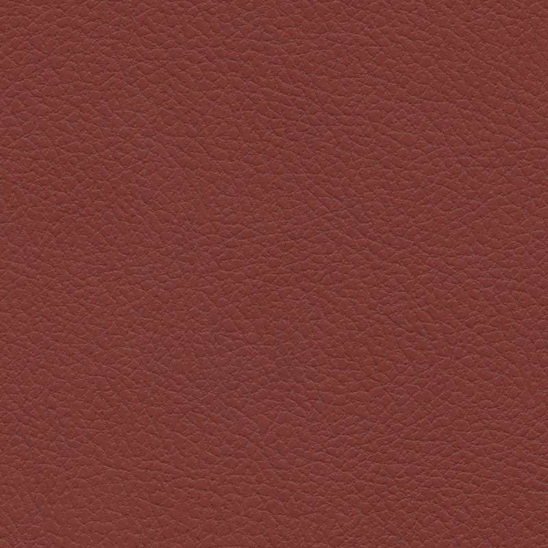 Brisa Forecast Burnt Red