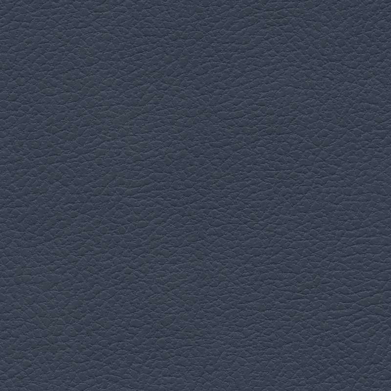 Brisa Forecast Michigan Blue