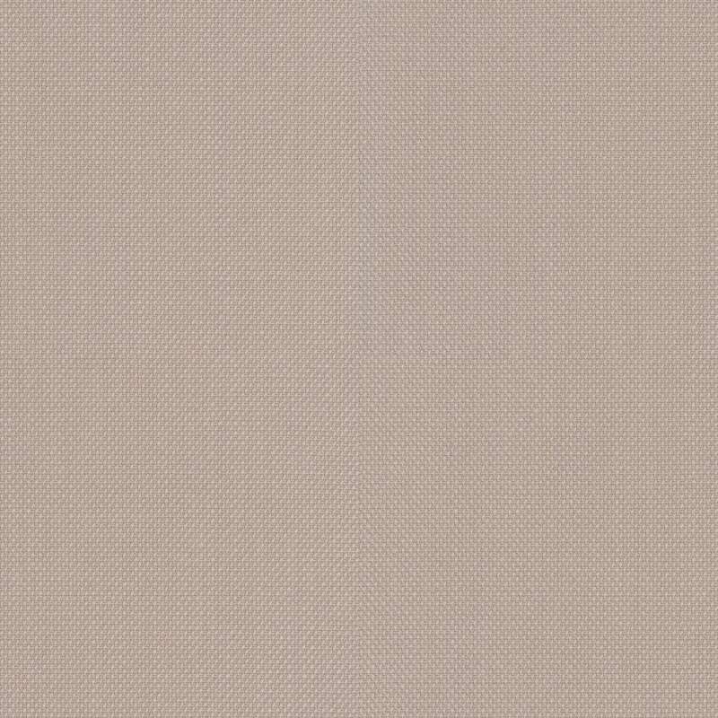 Steelcut Trio 3 0226