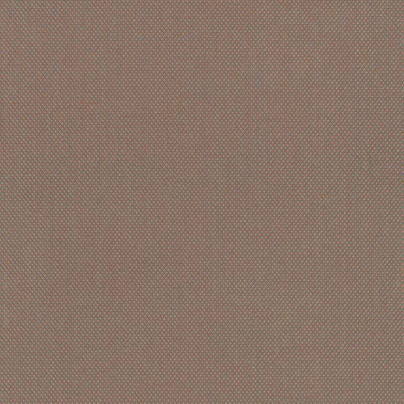 Steelcut Trio 3 0426