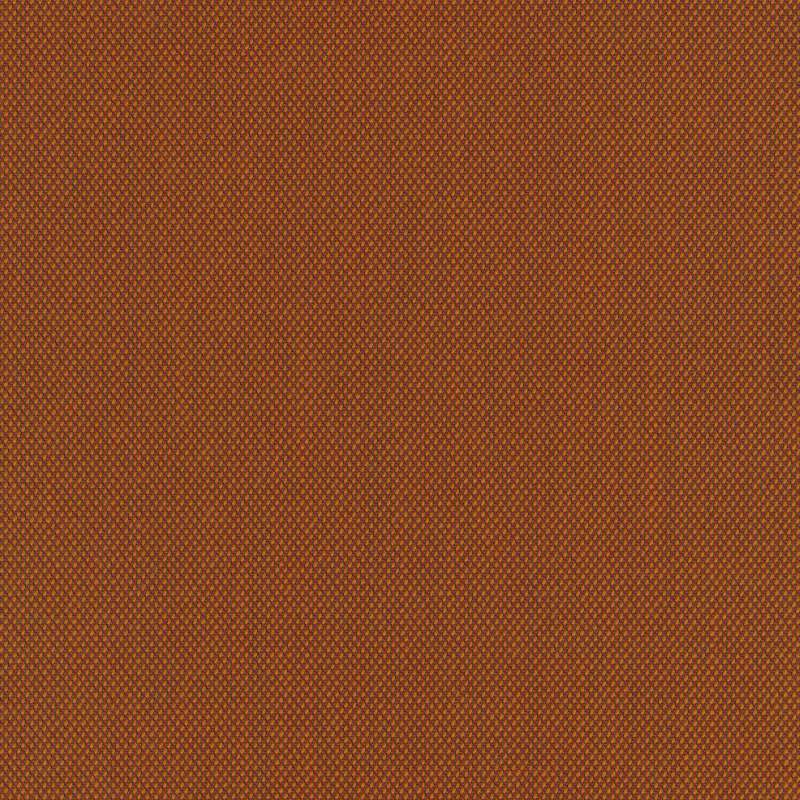 Steelcut Trio 3 0576