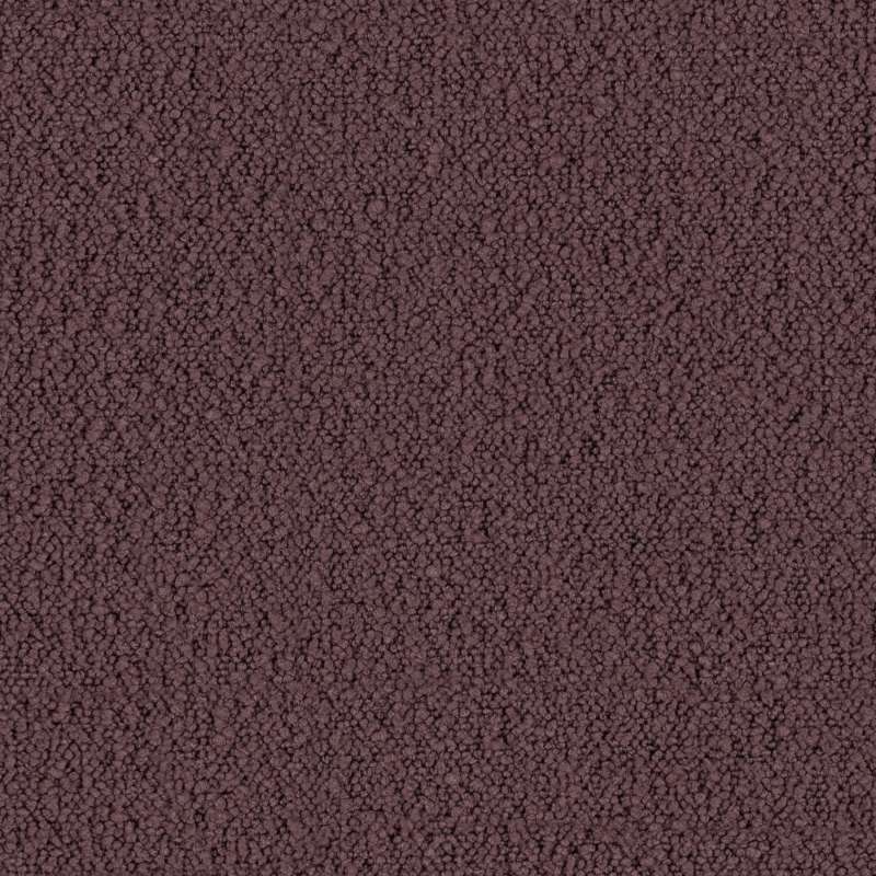 Ritzi Mauve