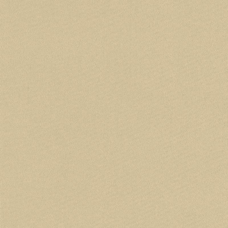 Cloud Velvet Belgian Flax