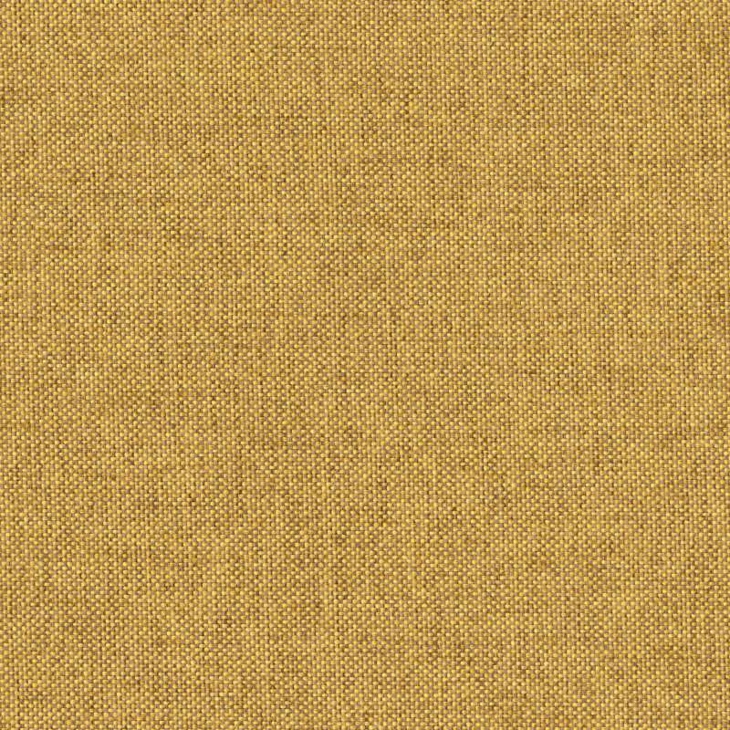 Everywhere Texture Finch
