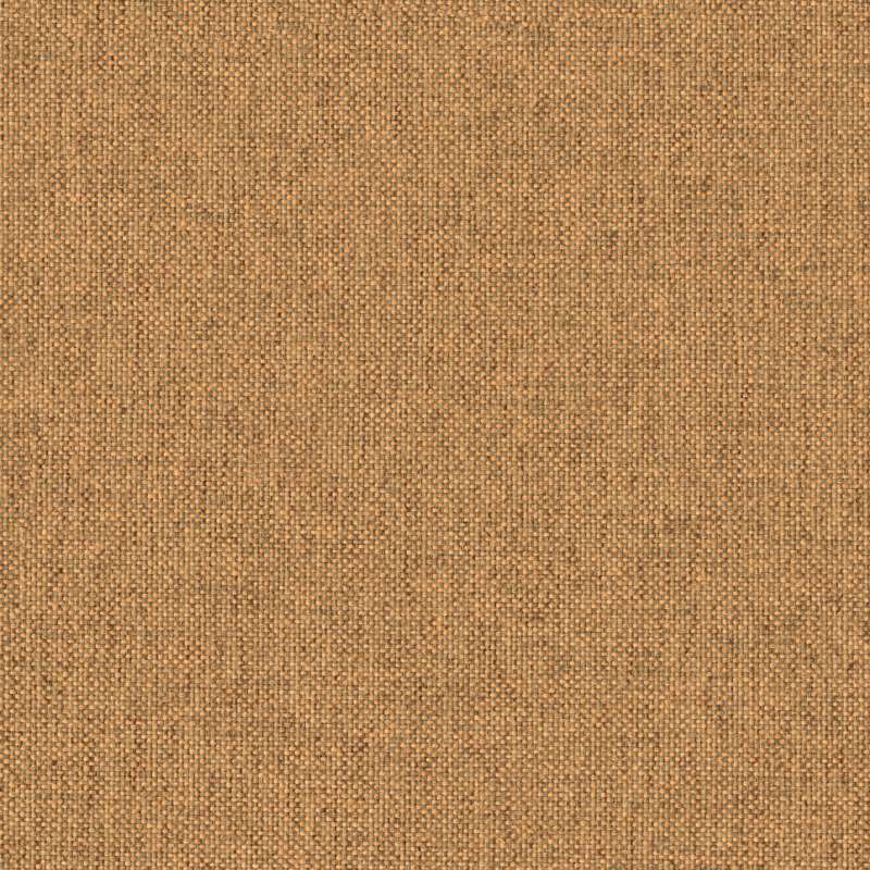 Everywhere Texture Acorn