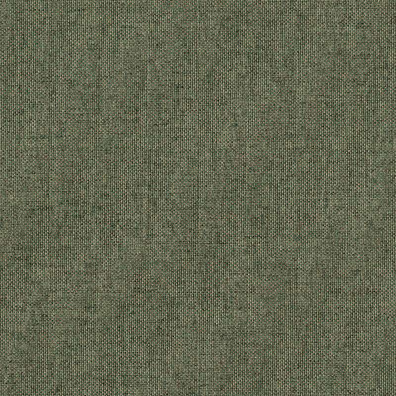 Everywhere Texture Evergreen