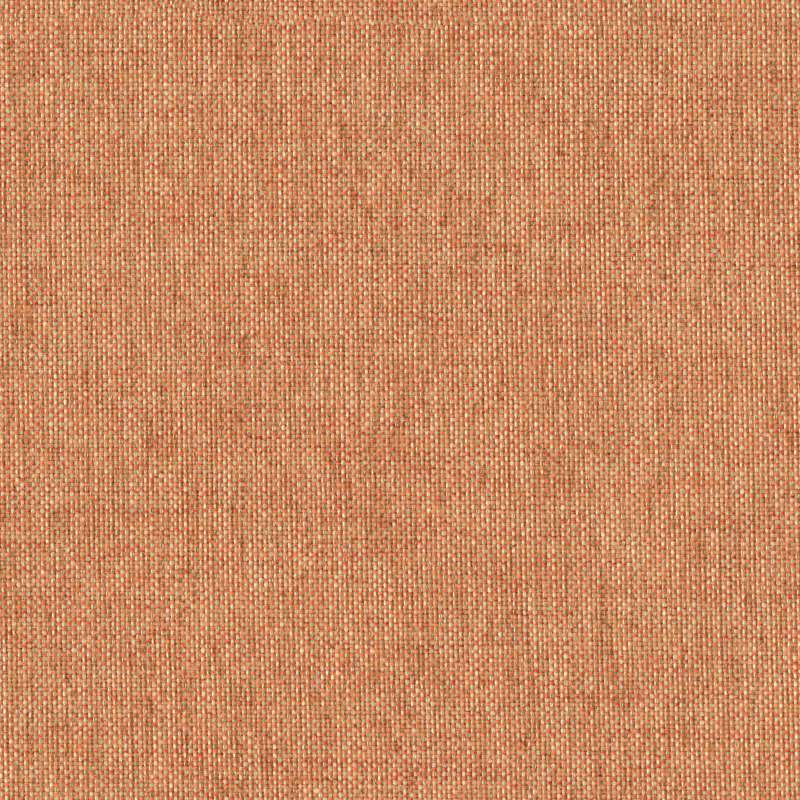 Everywhere Texture Ember