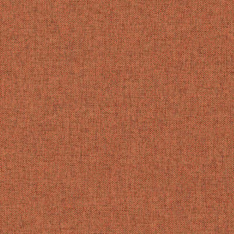 Everywhere Texture Orange