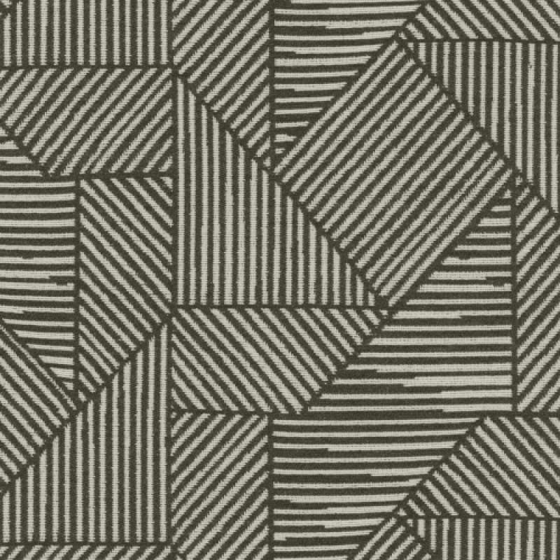 Acuco Zebra