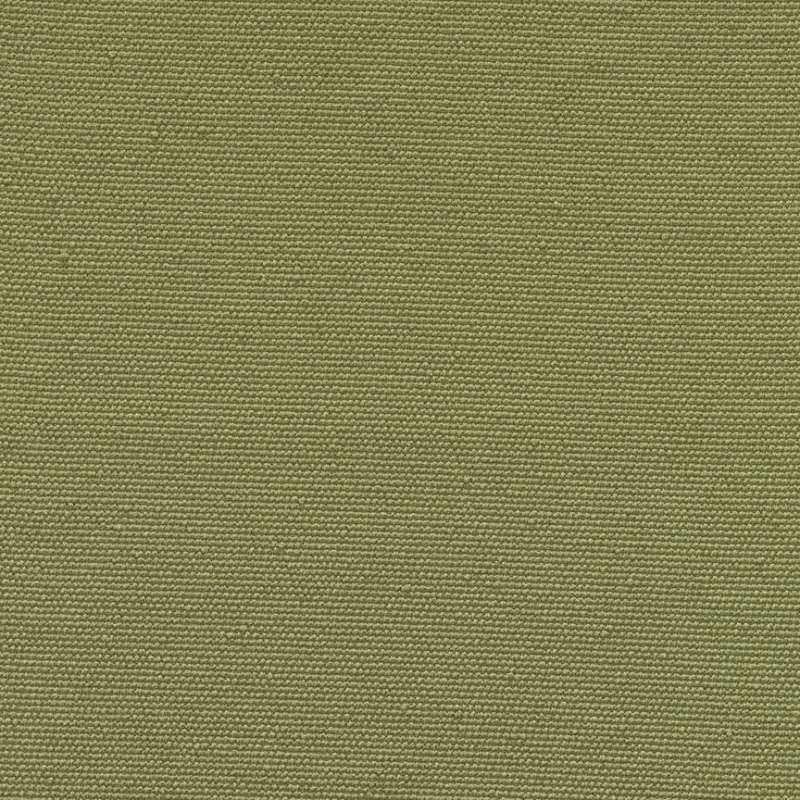 Medium Pistachio